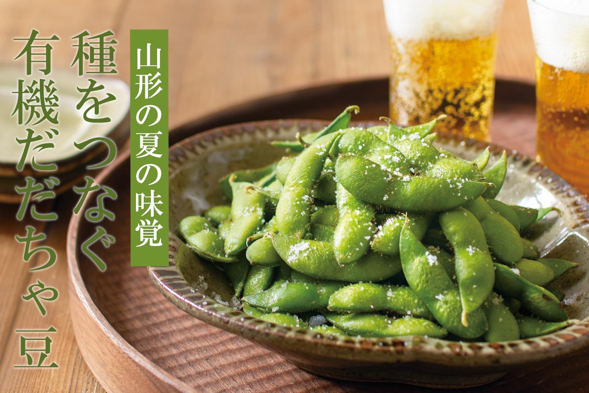 山形の夏の味覚 種をつなぐ有機だだちゃ豆