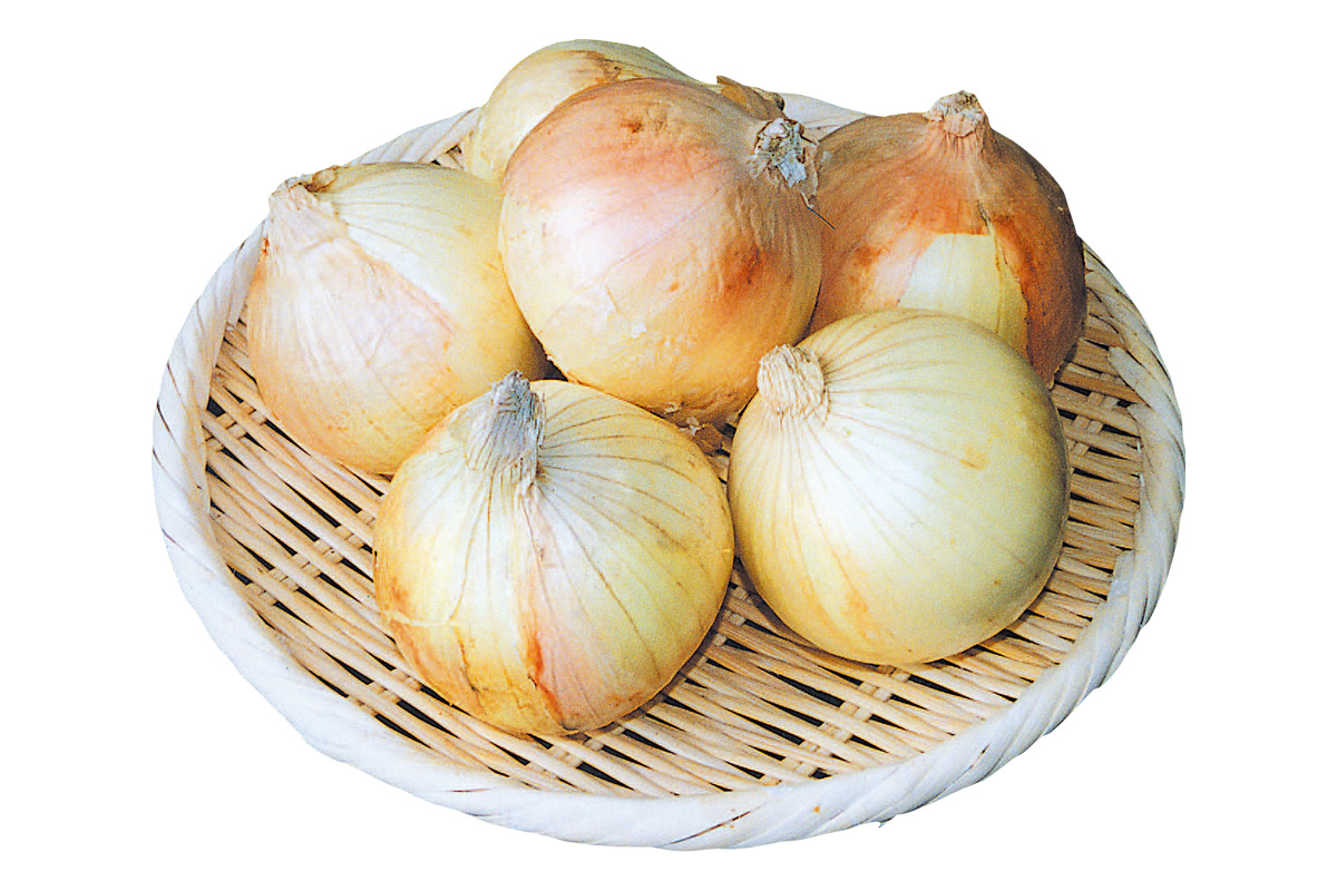 士別農園のトライ・玉ネギ1kg