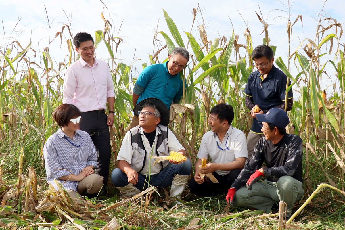 あいコープみやぎI副理事長(左)と吉武常務(中央右)、飼料用トウモロコシ生産者の渡辺さん(中央左)と山田さん(右)後列：伊藤忠飼料(株)服部さん(左)、あいあいファーム大内さん(中央)、涌谷町職員藤崎さん(右)