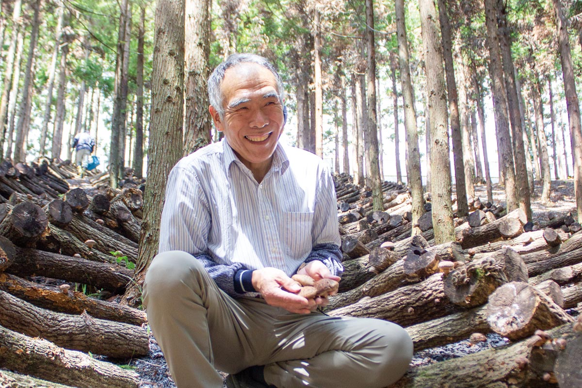 芳賀さんの原木椎茸栽培風景