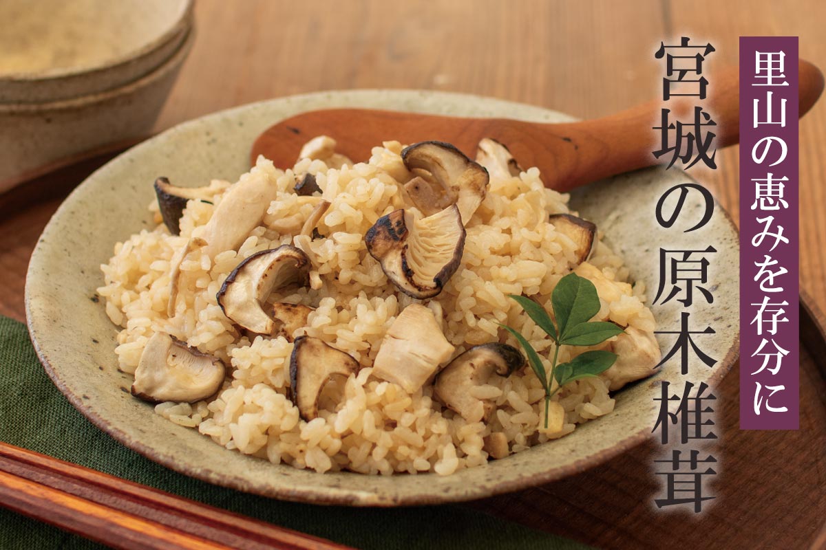 里山の恵みを存分に 宮城の原木椎茸