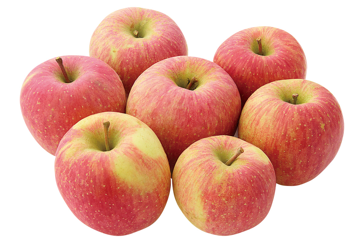 徳用・天童の葉取らずふじ2kg