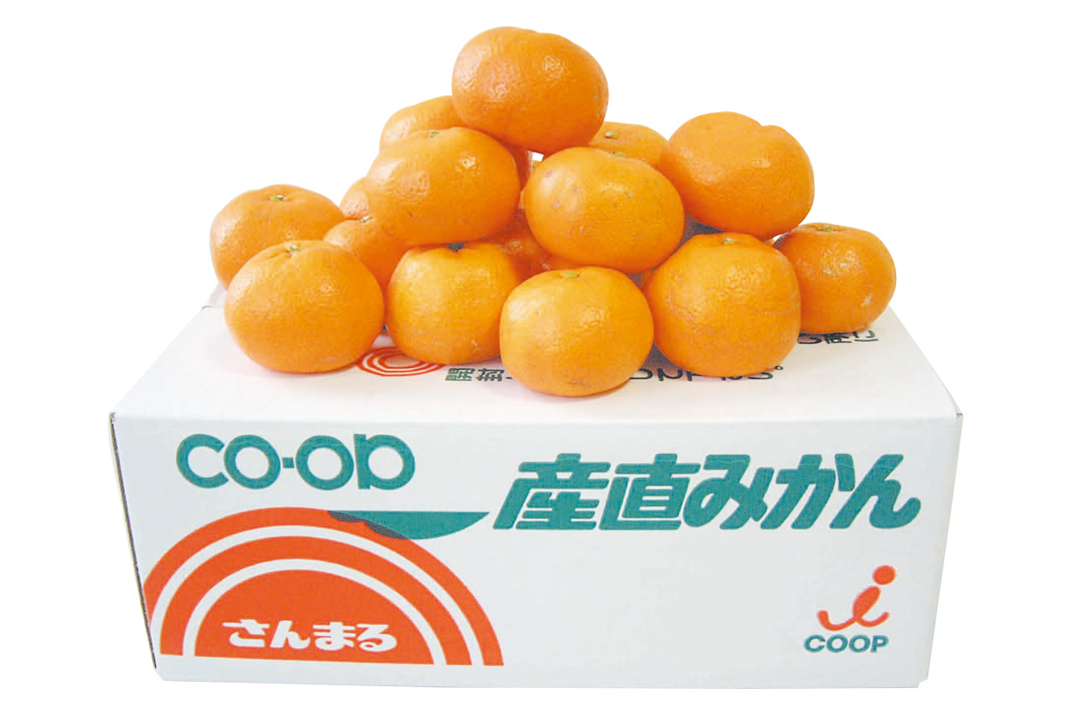 箱・さんまるの温州みかん5kg