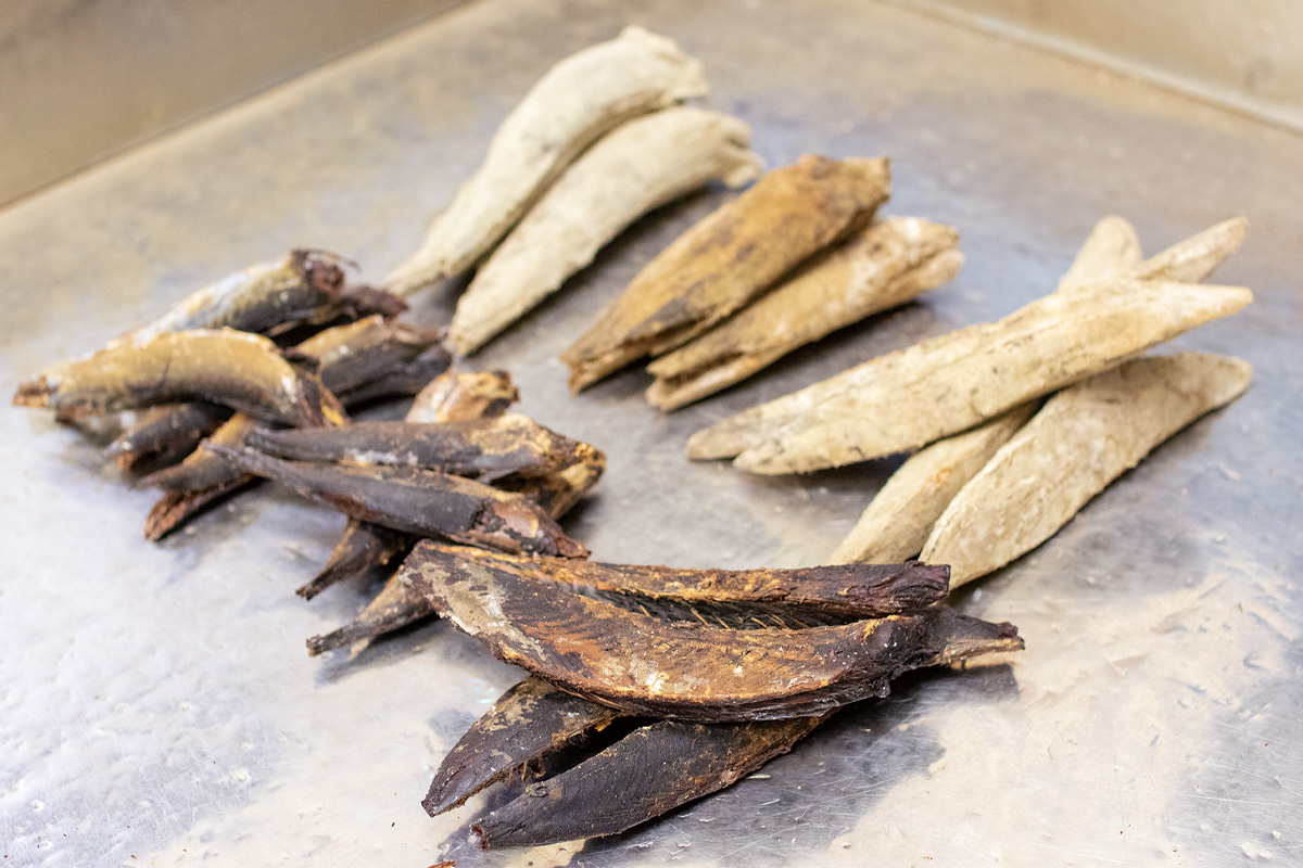 厳選した6種類の節