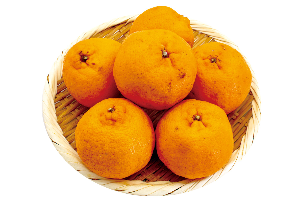 無茶々園のポンカン700g