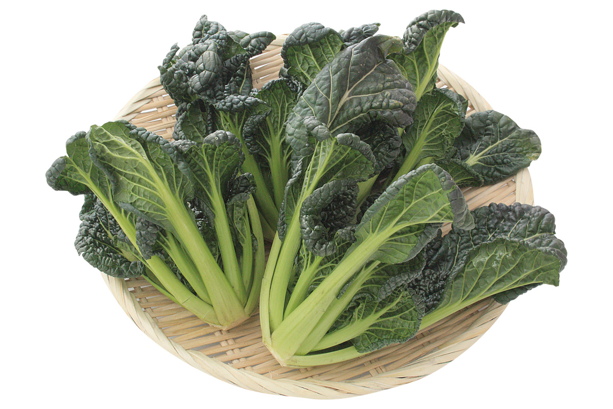 トライ・ちぢみゆき菜