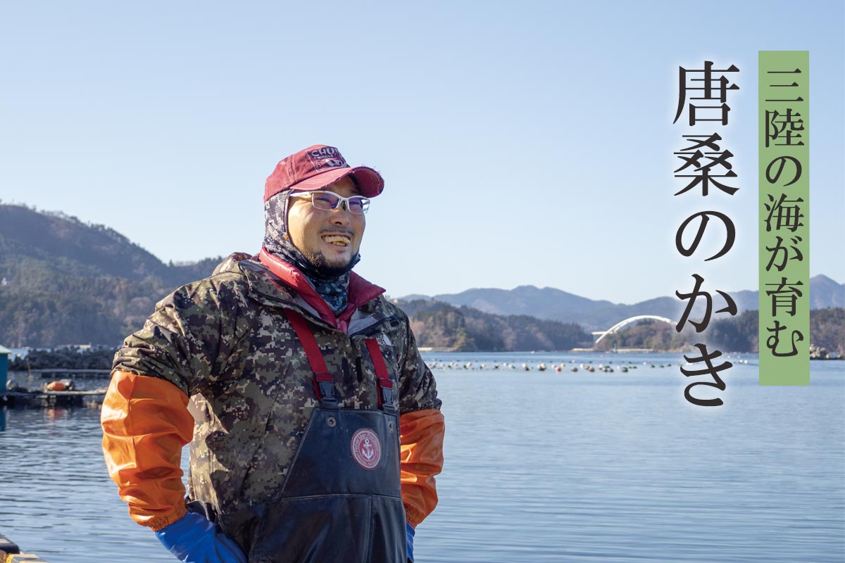 三陸の海が育む 唐桑のかき