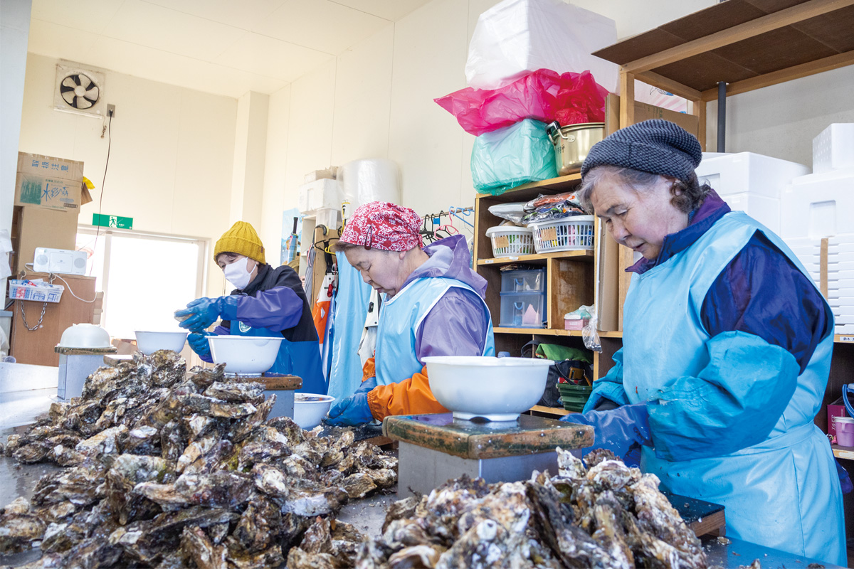 かきの殻むきは手作業。スピーディーかつ丁寧に