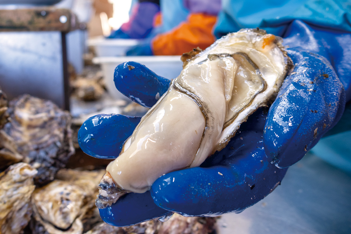 身がぎっしりつまったかき