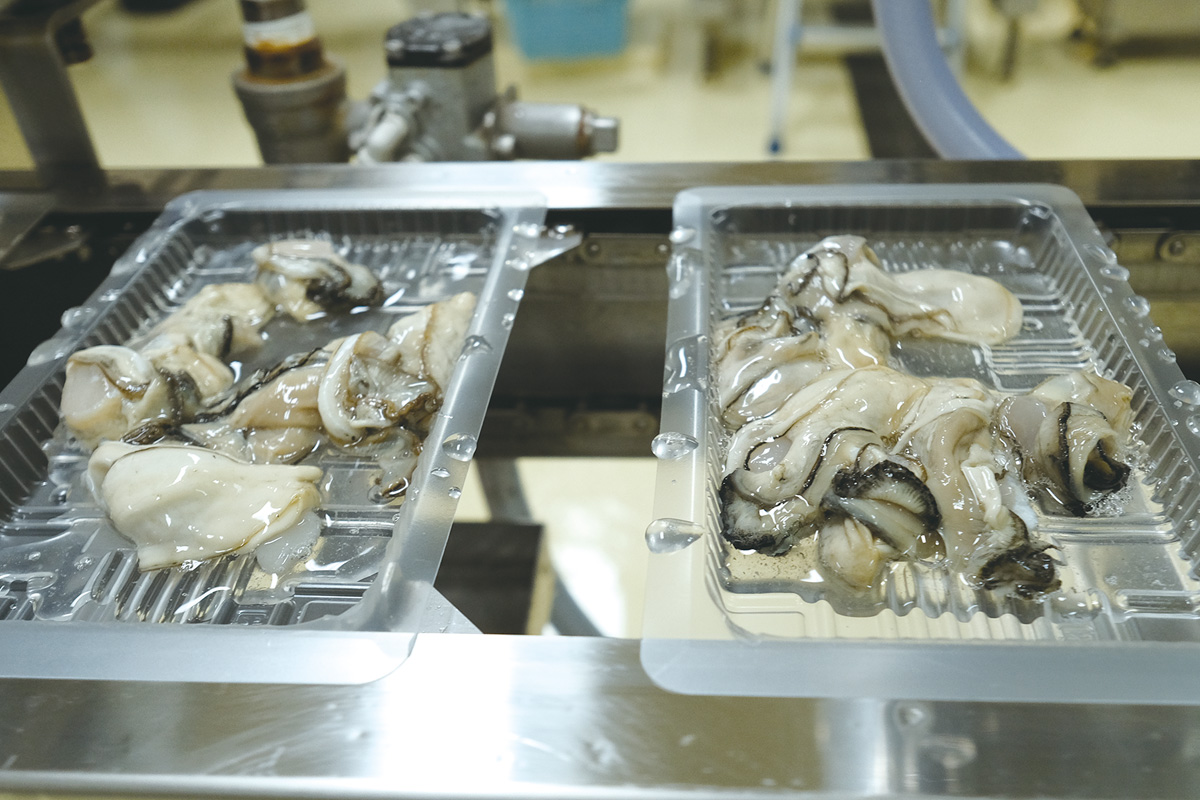 無水パック包装