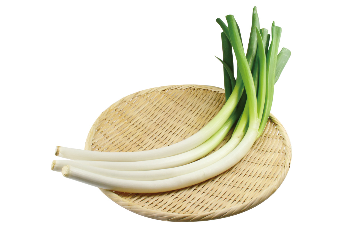 宮城のトライ・曲がりむきネギ