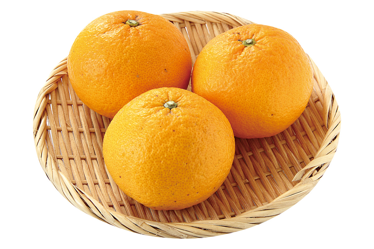 きばるのトライ・甘夏3個