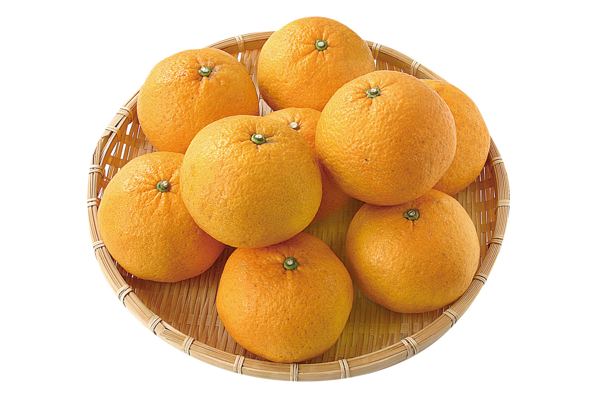 徳用・きばるのトライ・甘夏9個