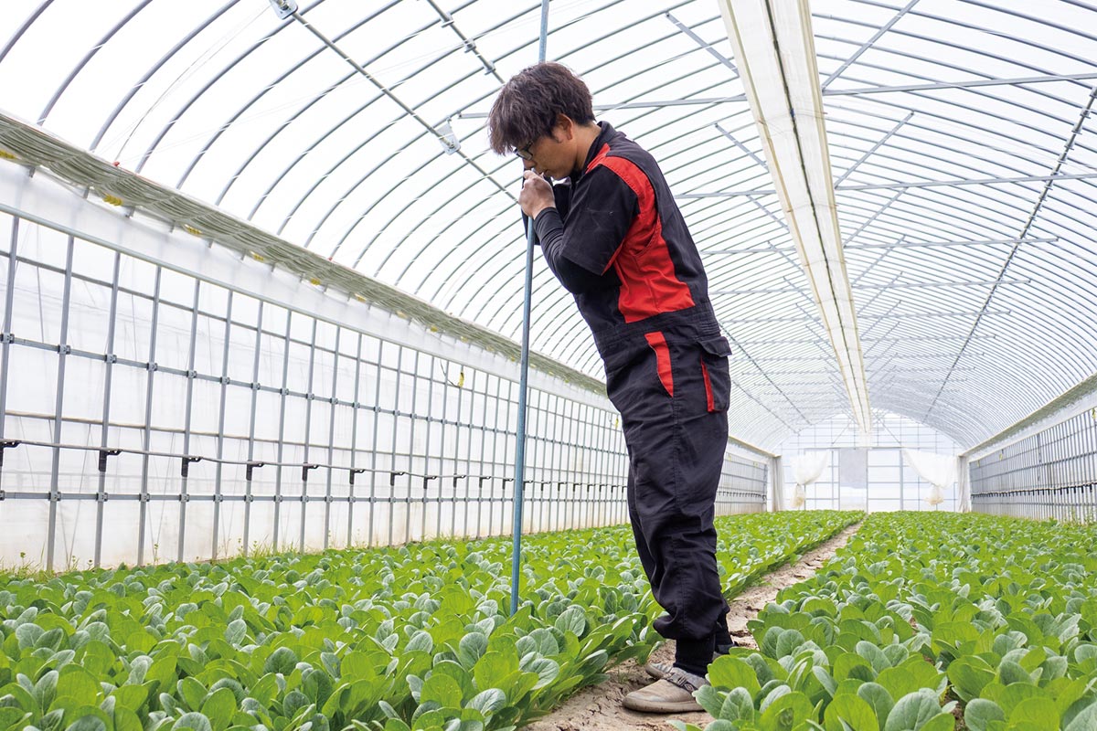 棒を刺しこんで土の硬さを確認