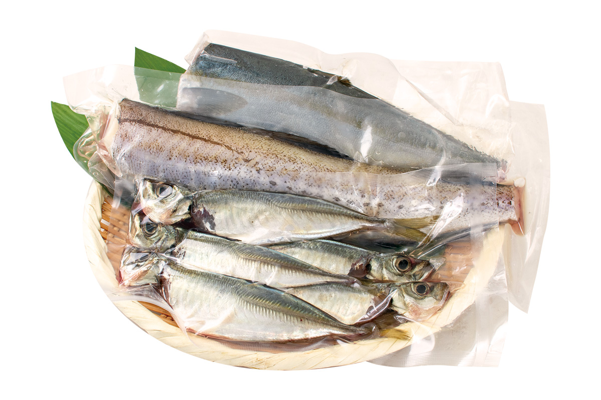 丸友しまかの鮮魚セット（下処理済み）