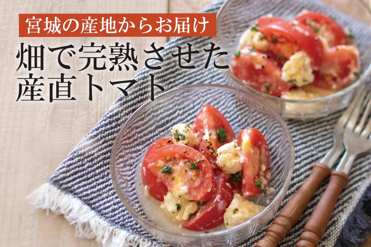 宮城の産地からお届け 畑で完熟させた産直トマト~トライ・トマト500g~