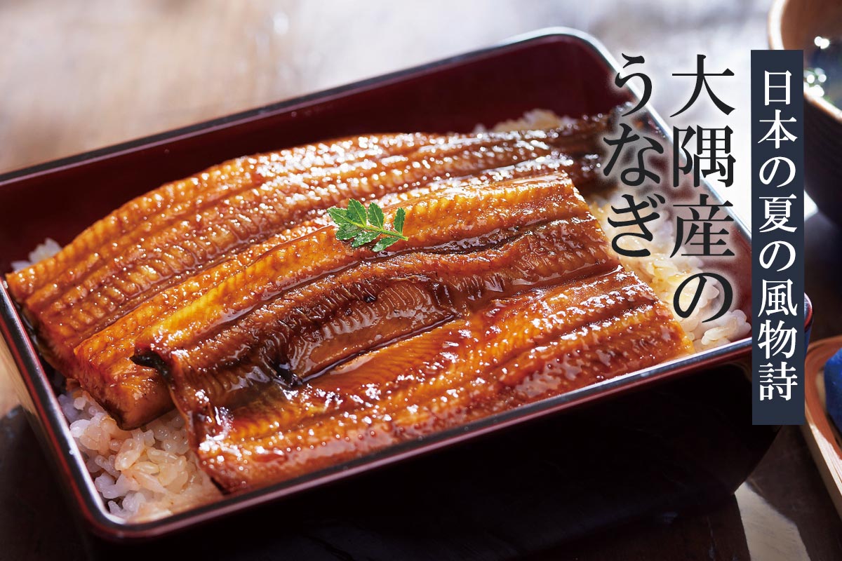 日本の夏の風物詩 大隅産のうなぎ~大隅産うなぎ蒲焼・カット2枚~~