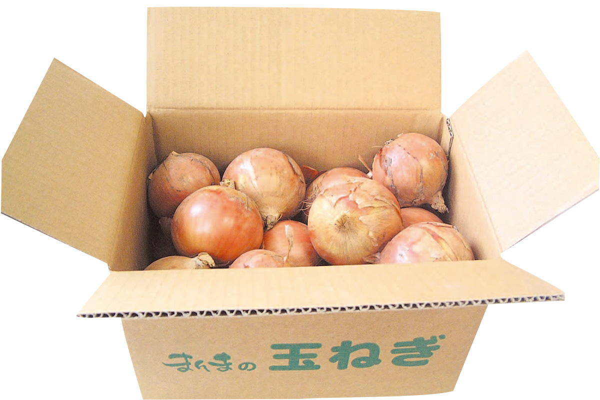 箱・士別農園のトライ・玉ネギ5kg