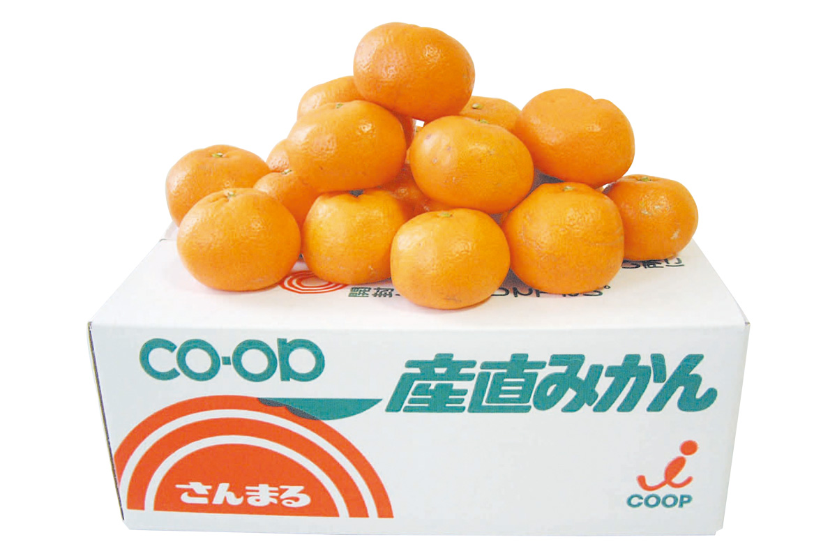 箱・さんまるの温州みかん5kg