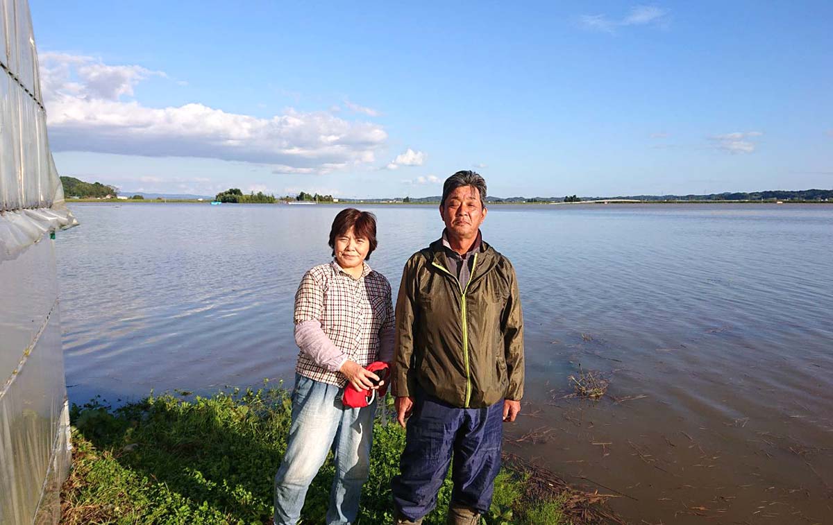 大郷町西塚家ハウス冠水