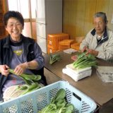 産地の声・七郷みつば会