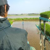 産地の声・大郷みどり会 西塚忠樹「田植え作業」