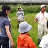 17年間、無農薬・無化学肥料！交流田の草取り
