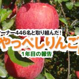 組合員オーナー446名と取り組んだ！完一さんのやっぺしりんご、1年目の報告