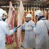 豚肉について学ぶ-[第二弾]仙台食肉市場
