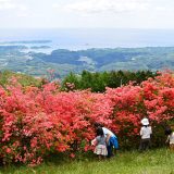 牡蠣の養殖体験に行ってきました！