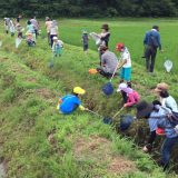 大郷の交流田。みんなで生き物調べ！