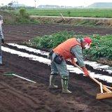 あい農委員会・6月後半の作業