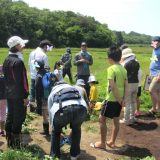 6/10 田んぼに行こう！草取り