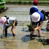 しおさい地区は大郷みどり会とタイアップ交流しています！