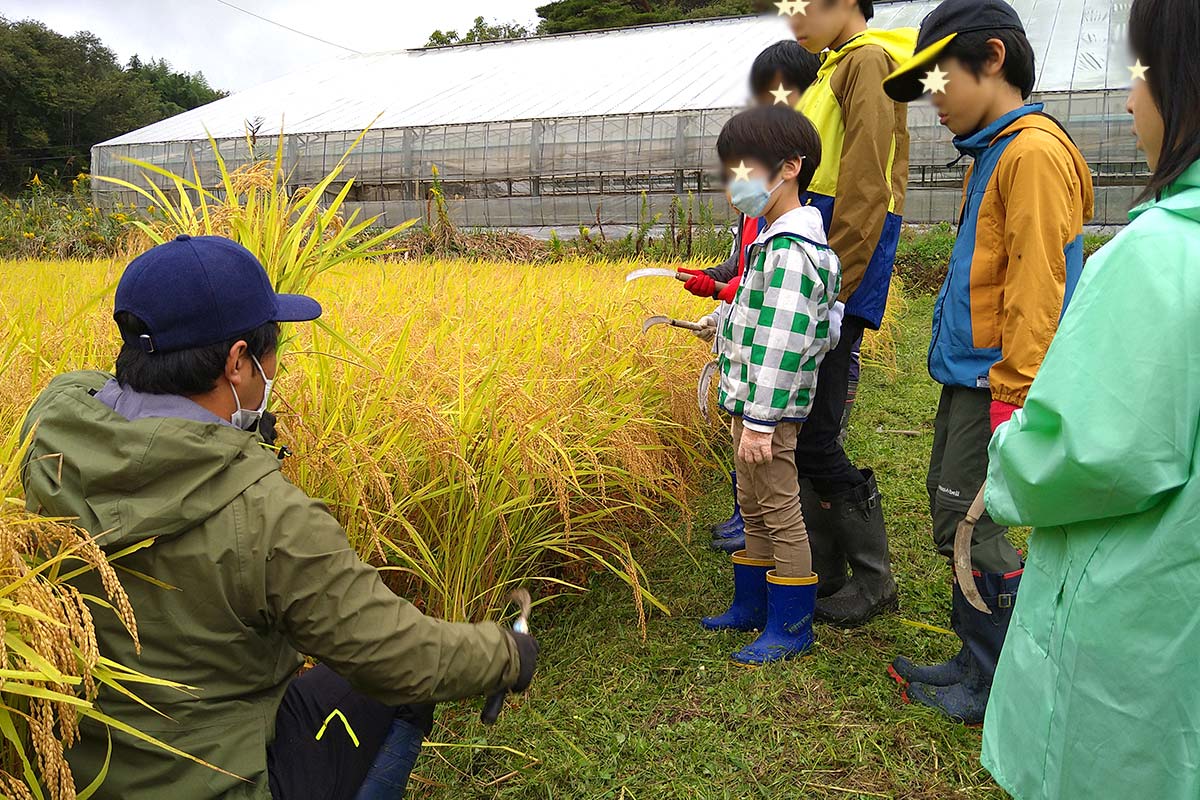 西塚忠樹先生の刈り方教室