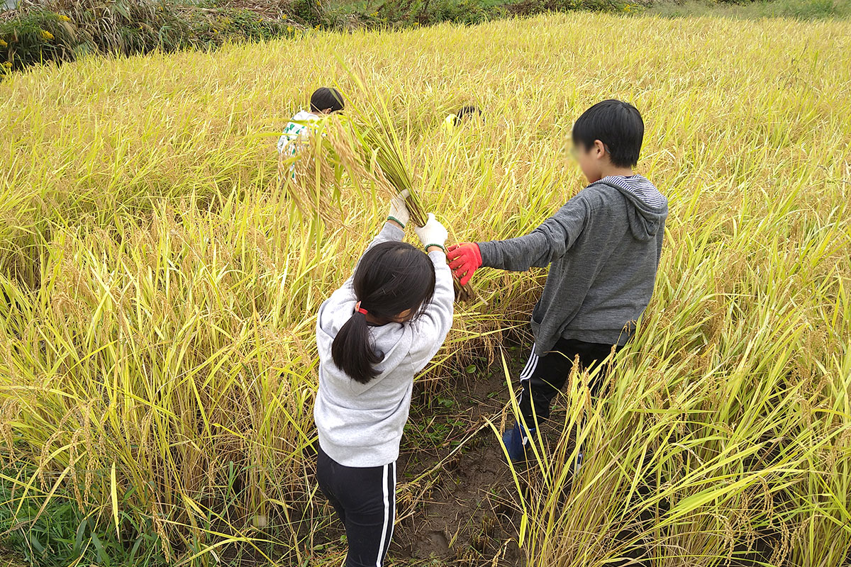 子供たちが大活躍