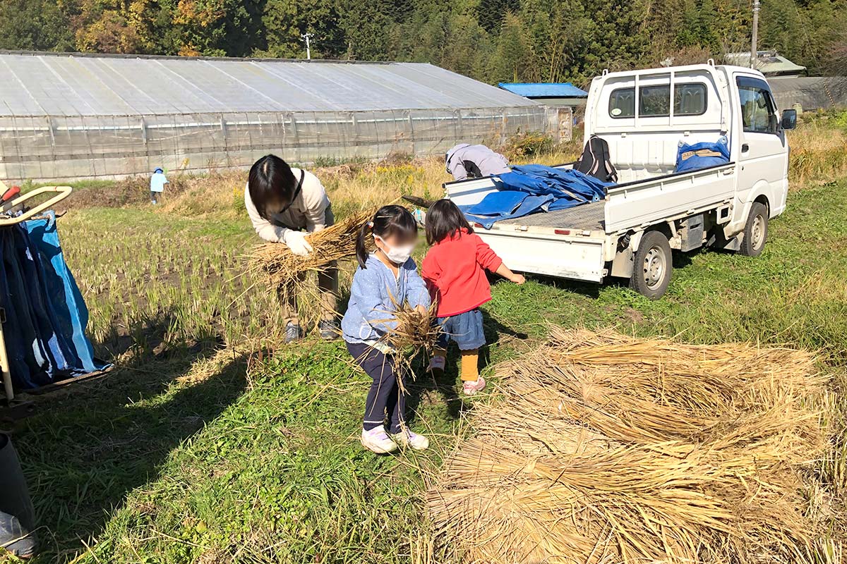 稲わらを積み上げたらお山ができたよ