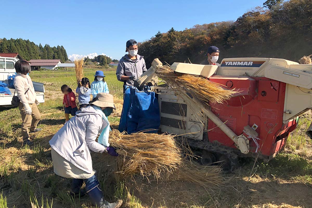 脱穀が済んだ稲わら回収