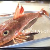 なぎょっとの原料カナガシラ