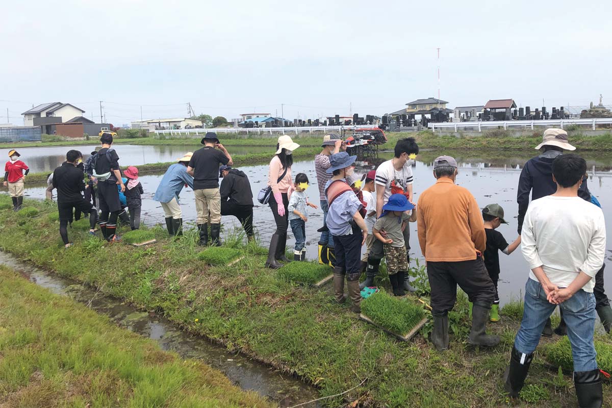 総勢38名で田植え!