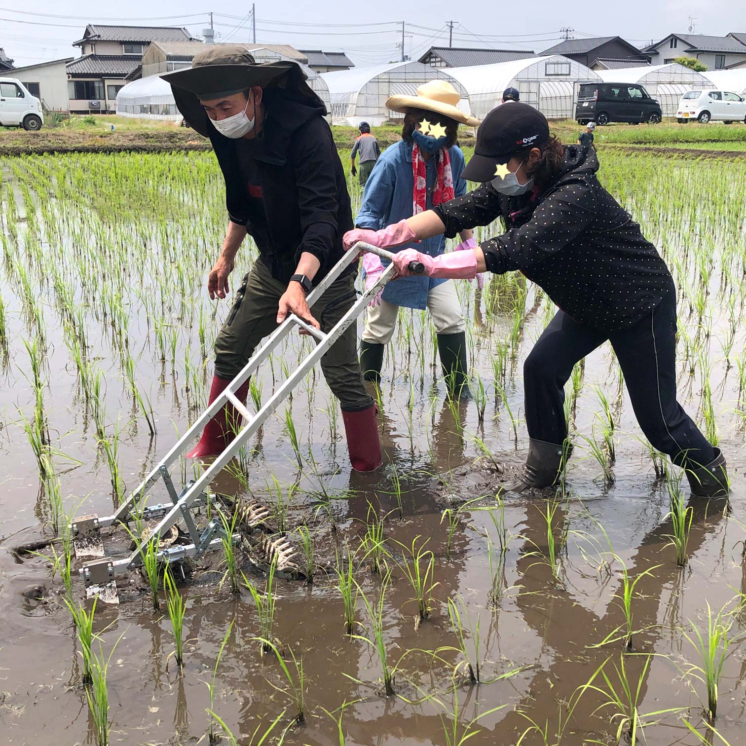 初導入された除草機