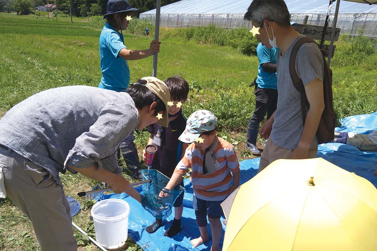 生き物に触る