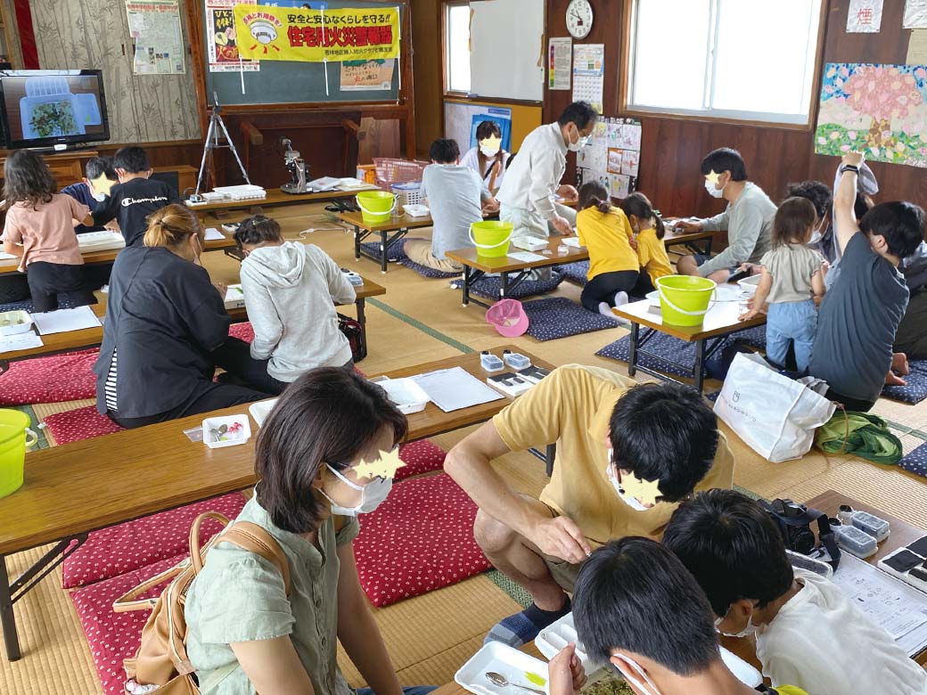 採取した生き物を観察していきます