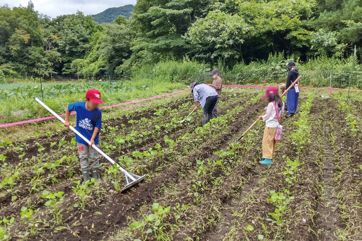 子供達も大きなレーキを使って作業