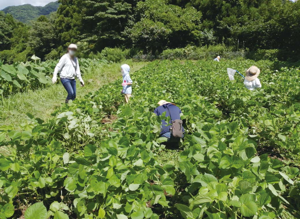 体が隠れるほど茂っています