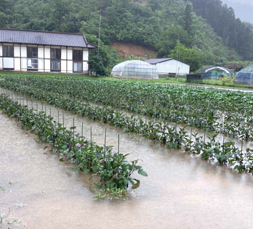 同じ場所、7月の冠水被害。