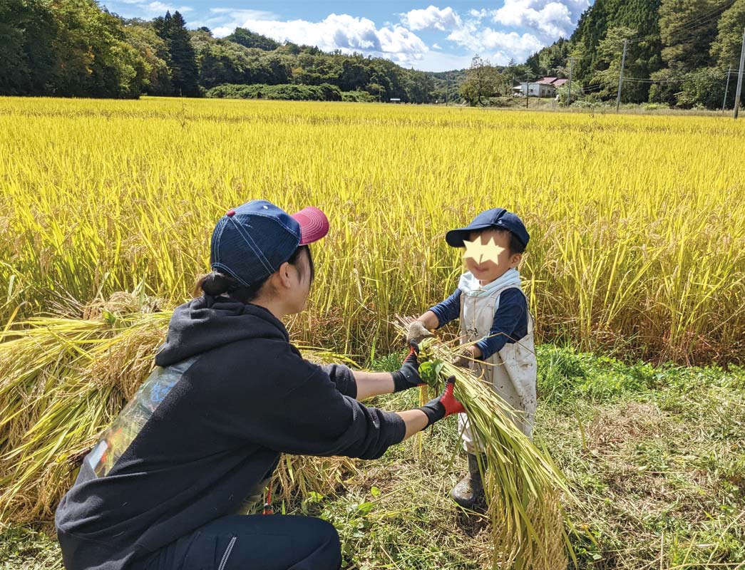 せっせと稲を運ぶ運搬係