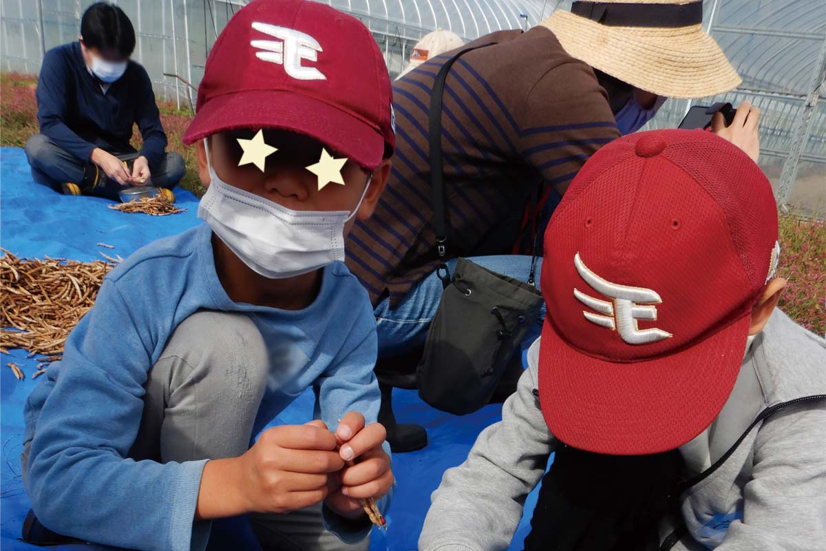 子ども達も大人顔負けの集中力で大活躍!