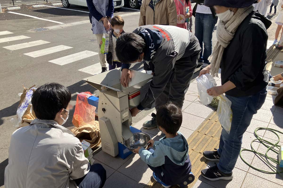 もみすり機から玄米が出てきます。