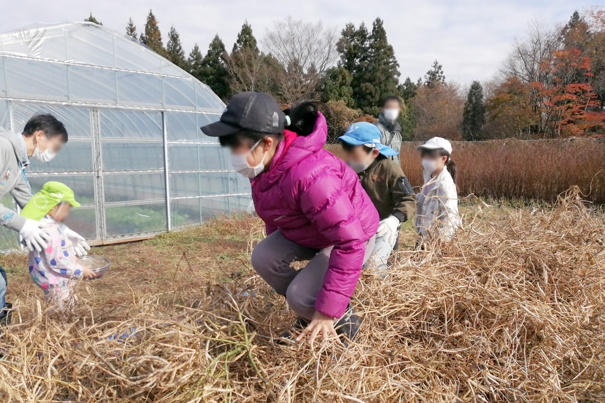 上から踏んで遊びながら脱穀